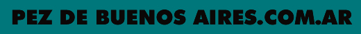Pez de Buenos Aires.com.ar
